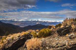 The Sierras from the Bristlecones-9055